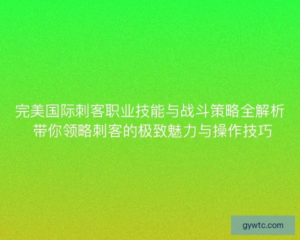 完美国际刺客职业技能与战斗策略全解析 带你领略刺客的极致魅力与操作技巧